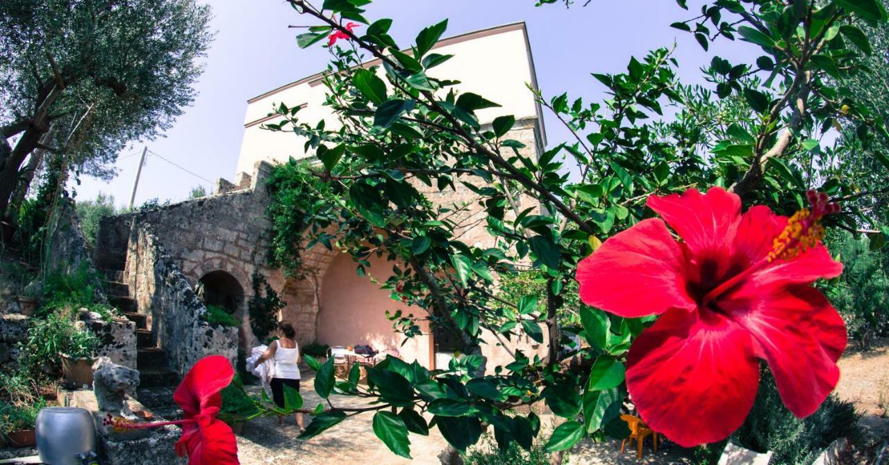 Masseria Moresano Panzió Ugento Szoba fotó